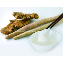 Frozen Common Rhizoma Dioscoreae Yam Paste Puree Best Price